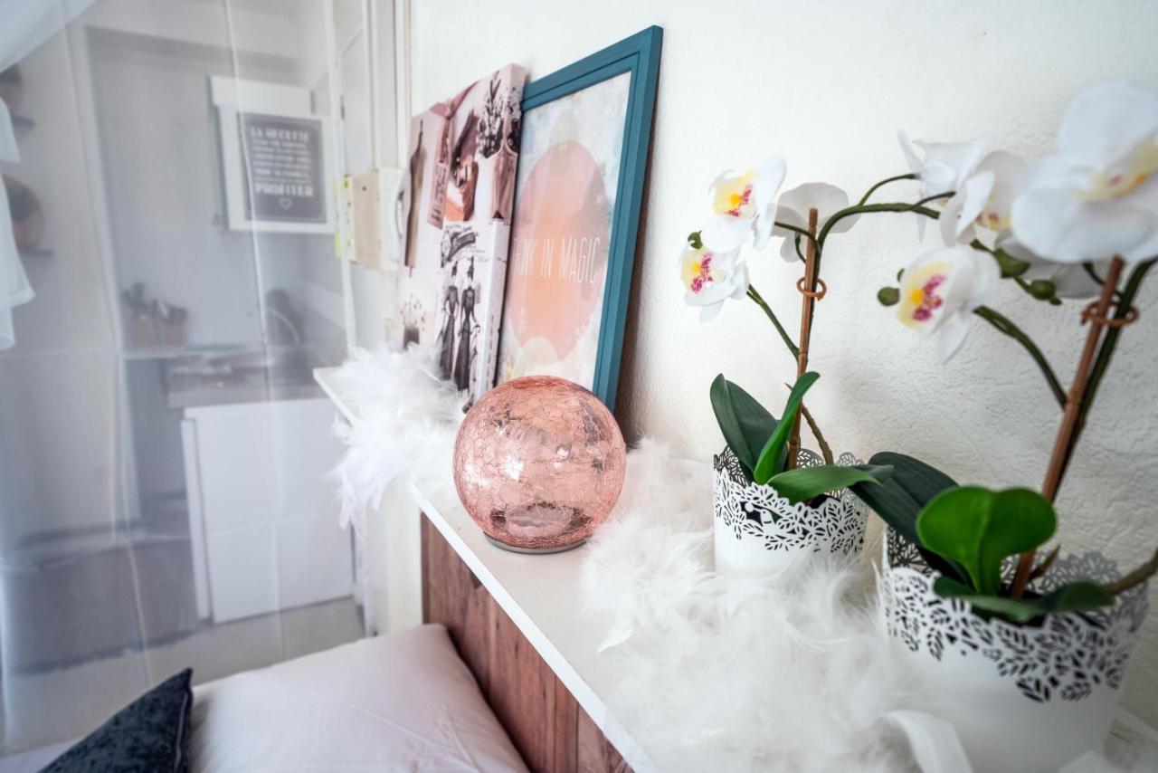 Studio Cocoon ~ 4 Mn Du Haras ~ Wifi แซ็งโล ภายนอก รูปภาพ
